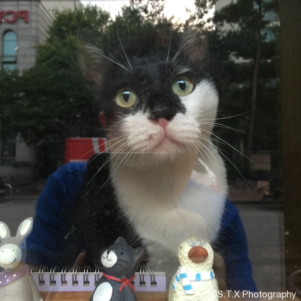 凡所有相 皆是虚妄