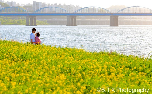 首尔汉江风景,飘在思密达,首尔故事,韩国风光,风光摄影
