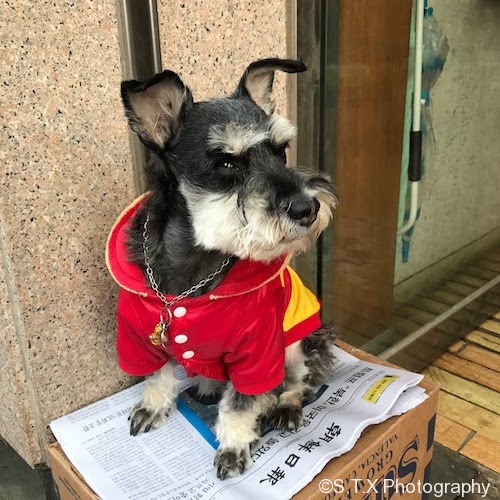 小贼，哥警告你……