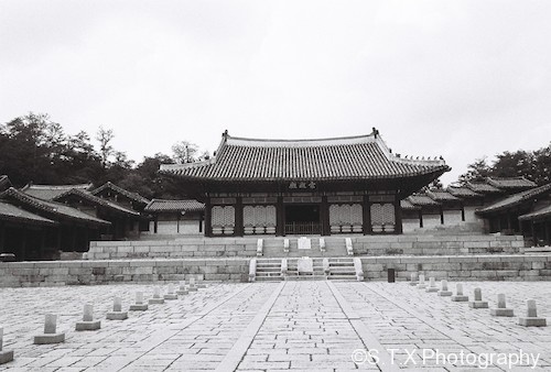 庆熙宫、飘在思密达、首尔故事