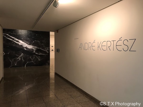 安德烈·科特兹、André Kertész、飘在思密达、首尔故事
