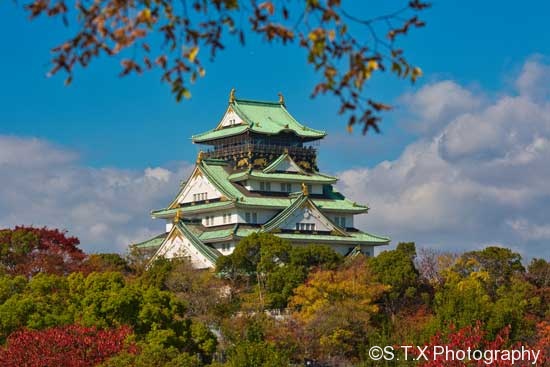 大阪城公园天守阁