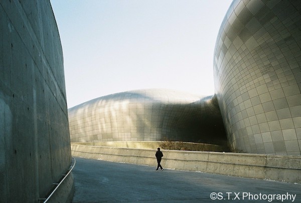 CONTAX G2首尔街拍