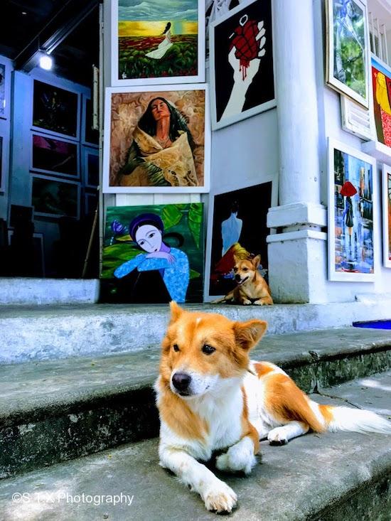 越南会安手机街拍