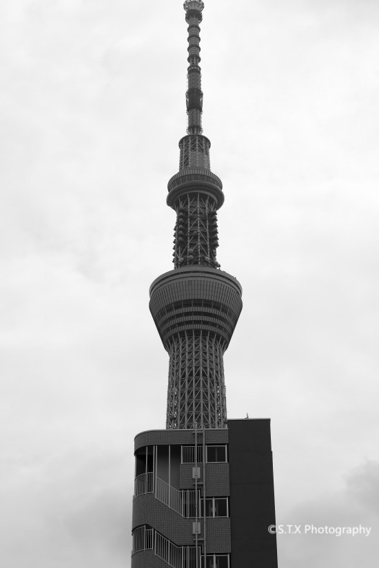 日本东京街拍、东京晴空塔