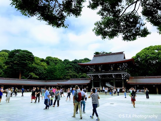 明治神宫、Meiji Jingu Shrine