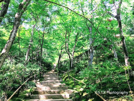 常寂光寺