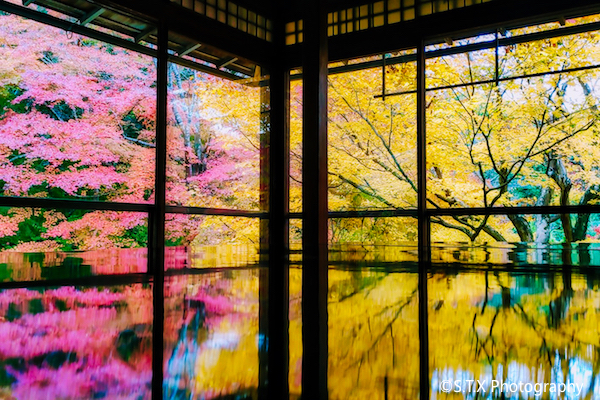 琉璃光院、京都旅游攻略、飘在思密达