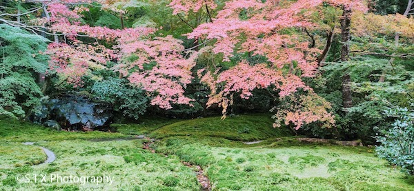 琉璃光院