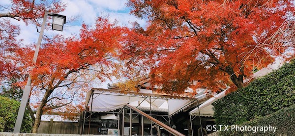 三千院