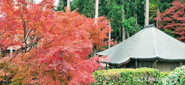 三千院