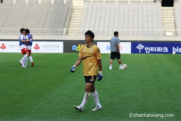 2010韩国K联赛全明星队