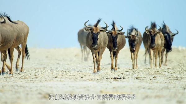 打破边界：我们星球的科学、Breaking Boundaries: The Science of Our Planet