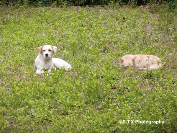 小米14 Ultra摄影作品