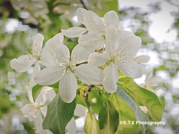 小米14 Ultra摄影作品