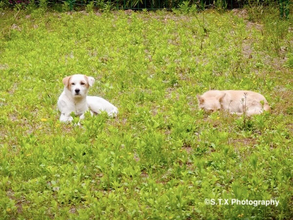 小米14 Ultra摄影作品