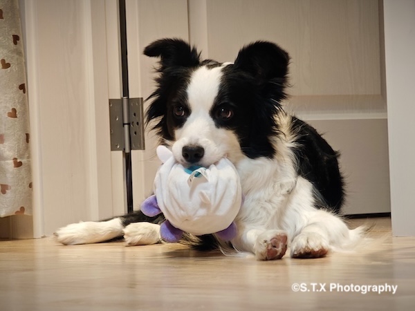 小米14 Ultra摄影作品