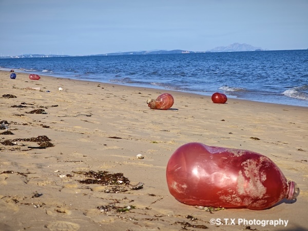 小米14 Ultra摄影作品