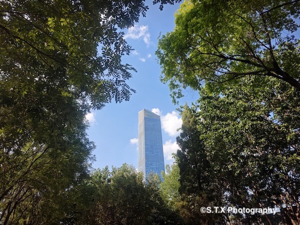 小米14 Ultra摄影作品