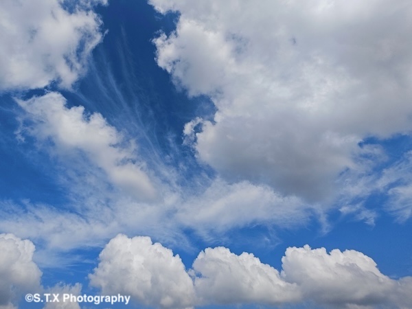 小米14 Ultra摄影作品