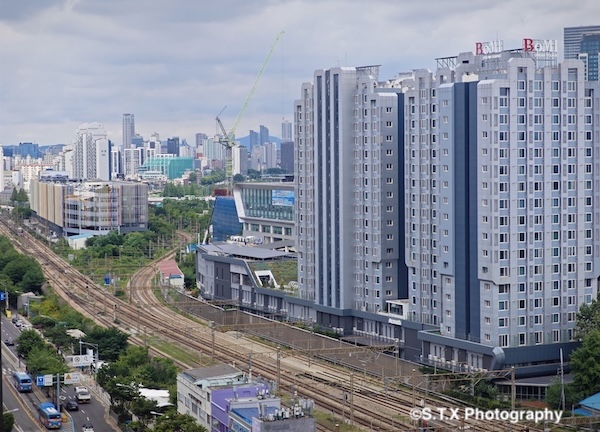 小米14 Ultra摄影作品