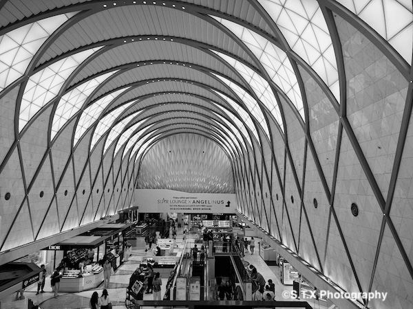 小米14 Ultra摄影作品