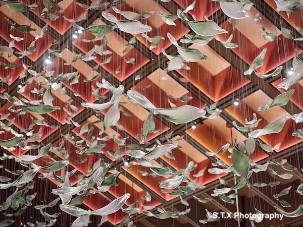 小米14 Ultra摄影作品