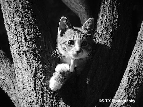 小米14 Ultra摄影作品