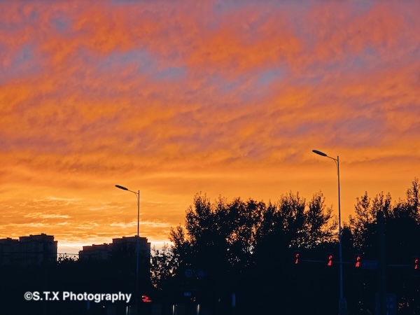 小米14 Ultra摄影作品