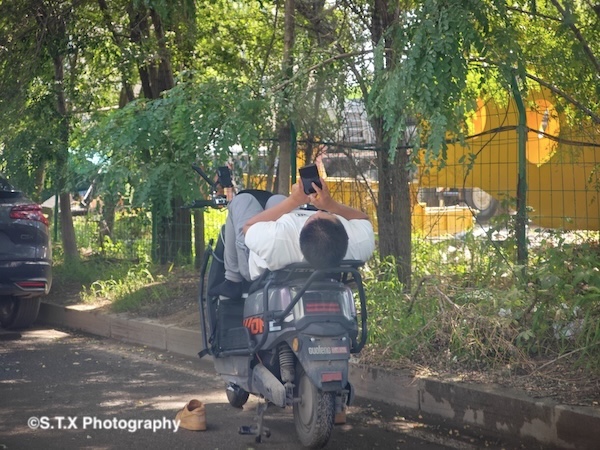 小米14 Ultra摄影作品