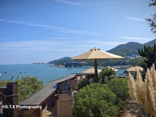 小米14 Ultra摄影作品