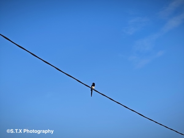 小米14 Ultra摄影作品