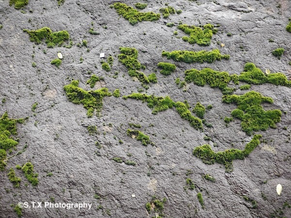 小米14 Ultra摄影作品