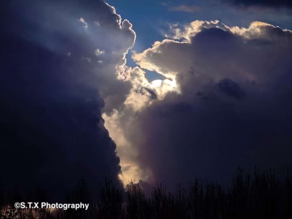 小米14 Ultra摄影作品