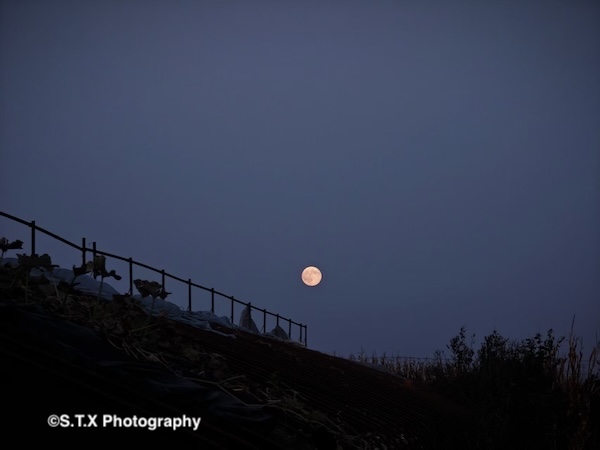 小米14 Ultra摄影作品