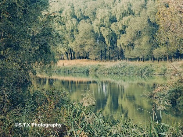 小米14 Ultra摄影作品