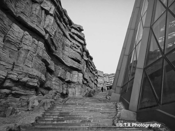 小米14 Ultra摄影作品