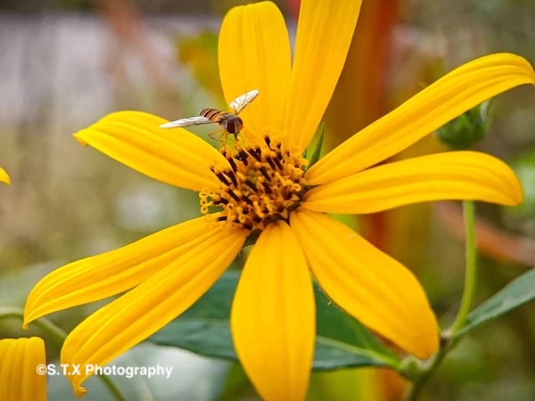 小米14 Ultra摄影作品