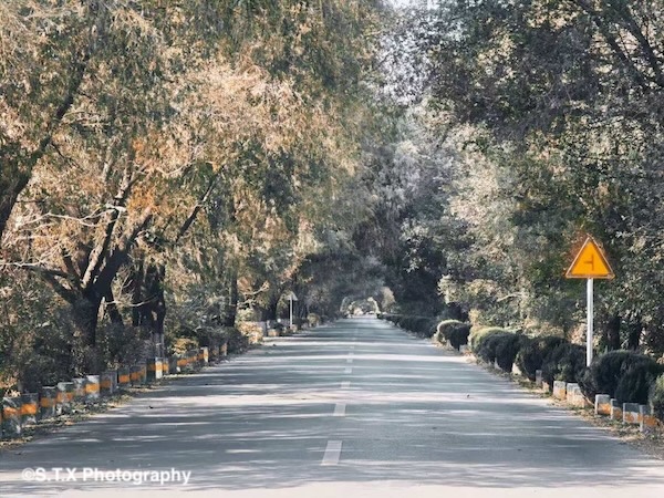 小米14 Ultra摄影作品