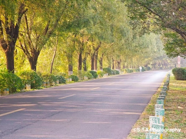 小米14 Ultra摄影作品