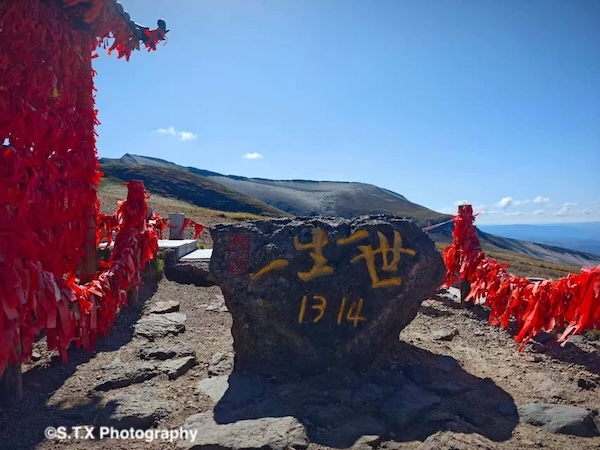 小米14 Ultra摄影作品