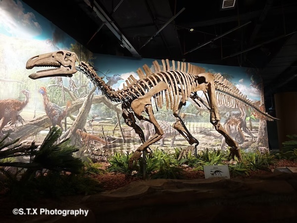 小米14 Ultra摄影作品