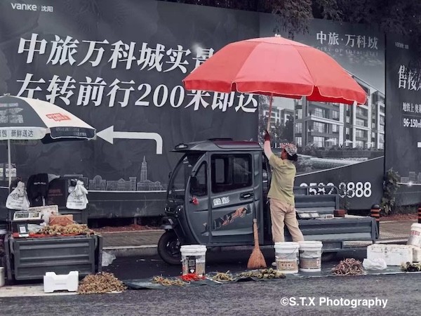 小米14 Ultra摄影作品