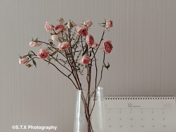 小米14 Ultra摄影作品