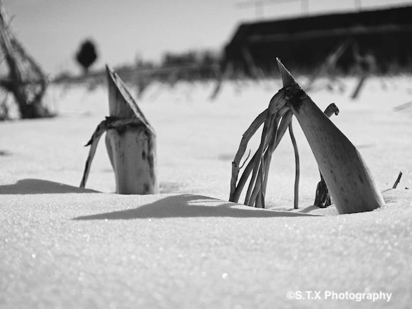 飘在思密达手机街头摄影