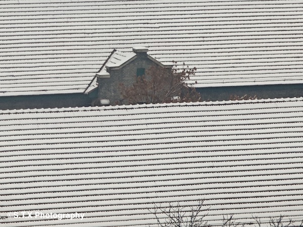 飘在思密达手机街头摄影
