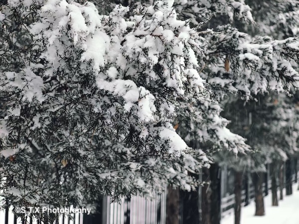 飘在思密达手机街头摄影